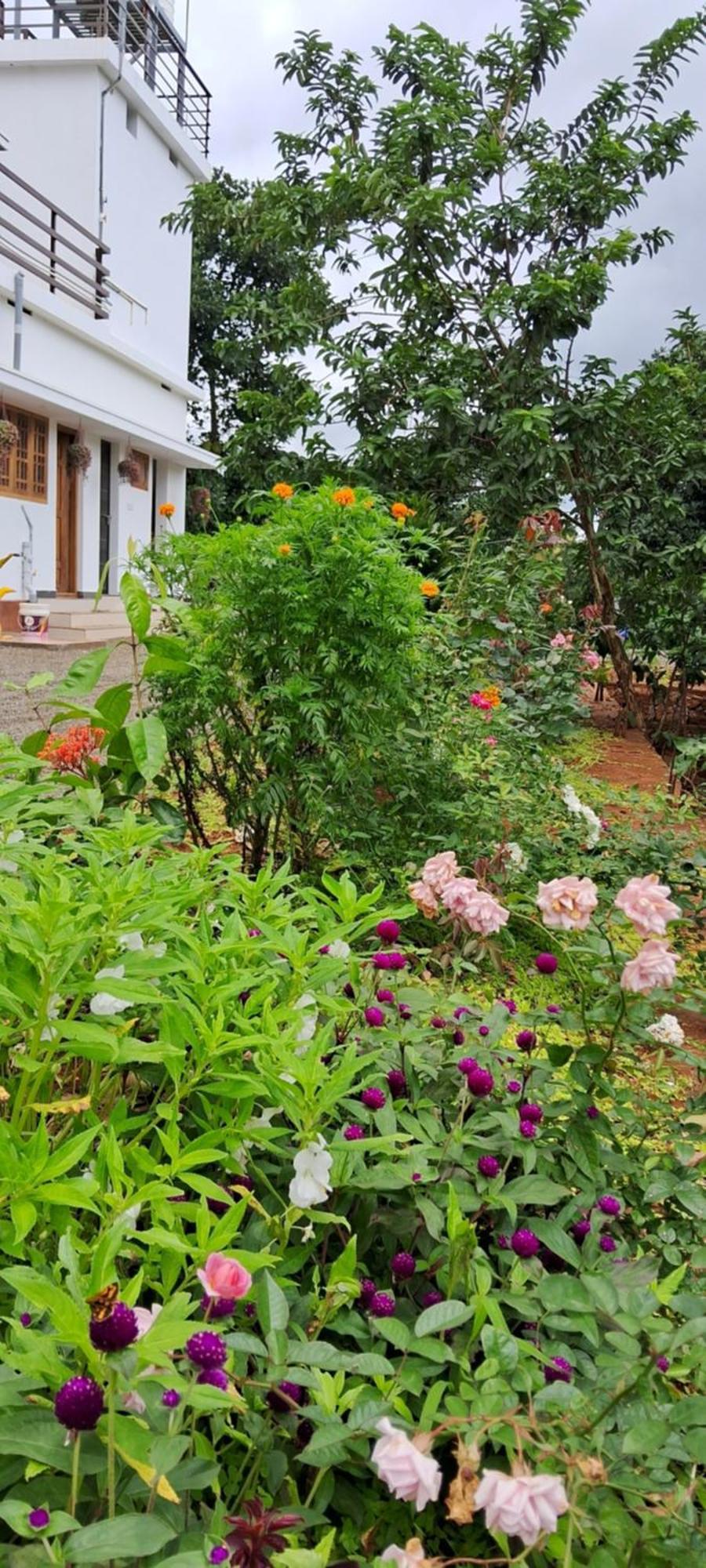 Rockland Holidays Ramakkalmedu المظهر الخارجي الصورة