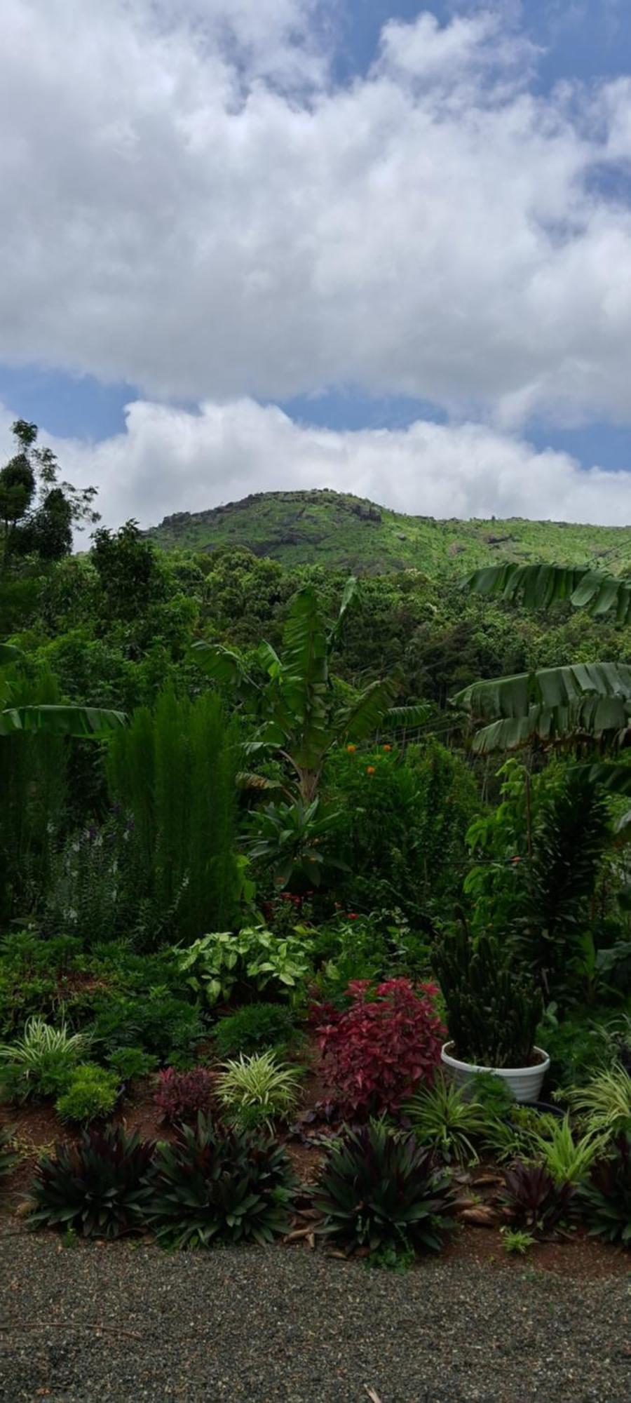Rockland Holidays Ramakkalmedu المظهر الخارجي الصورة